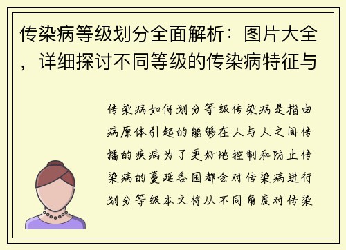 传染病等级划分全面解析：图片大全，详细探讨不同等级的传染病特征与应对策略
